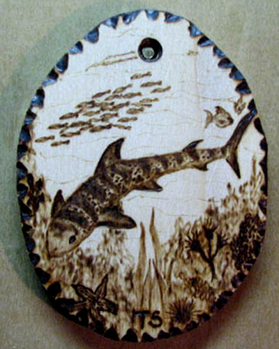 leopard shark pyrography tanja sova